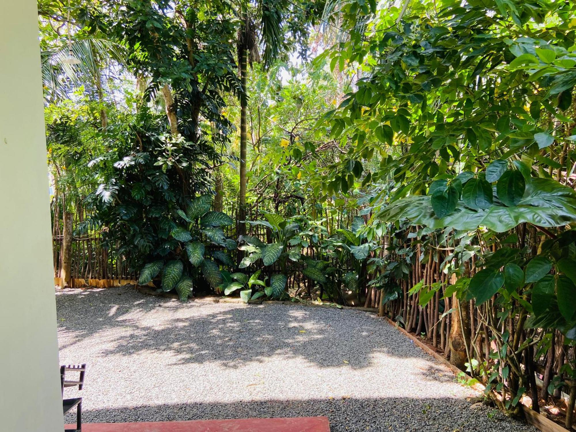 Leo Homestay Dikwella Extérieur photo