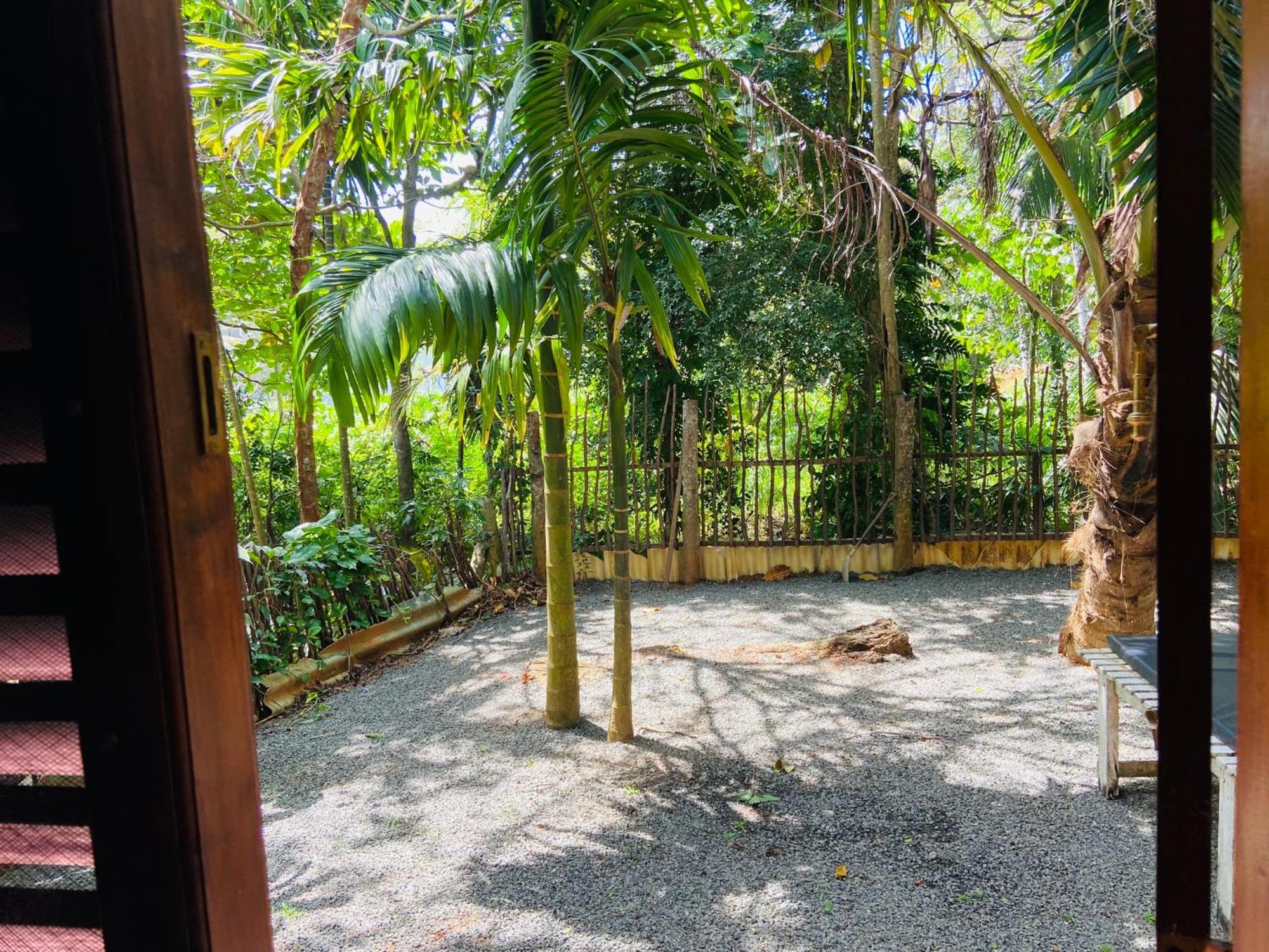 Leo Homestay Dikwella Extérieur photo