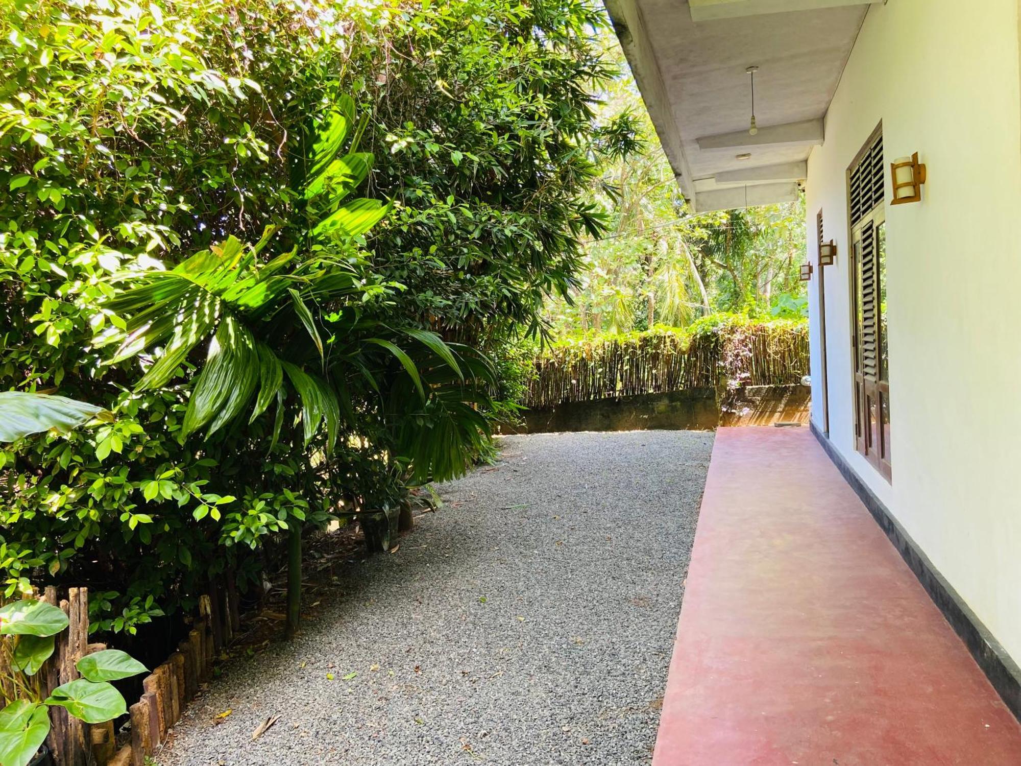 Leo Homestay Dikwella Extérieur photo