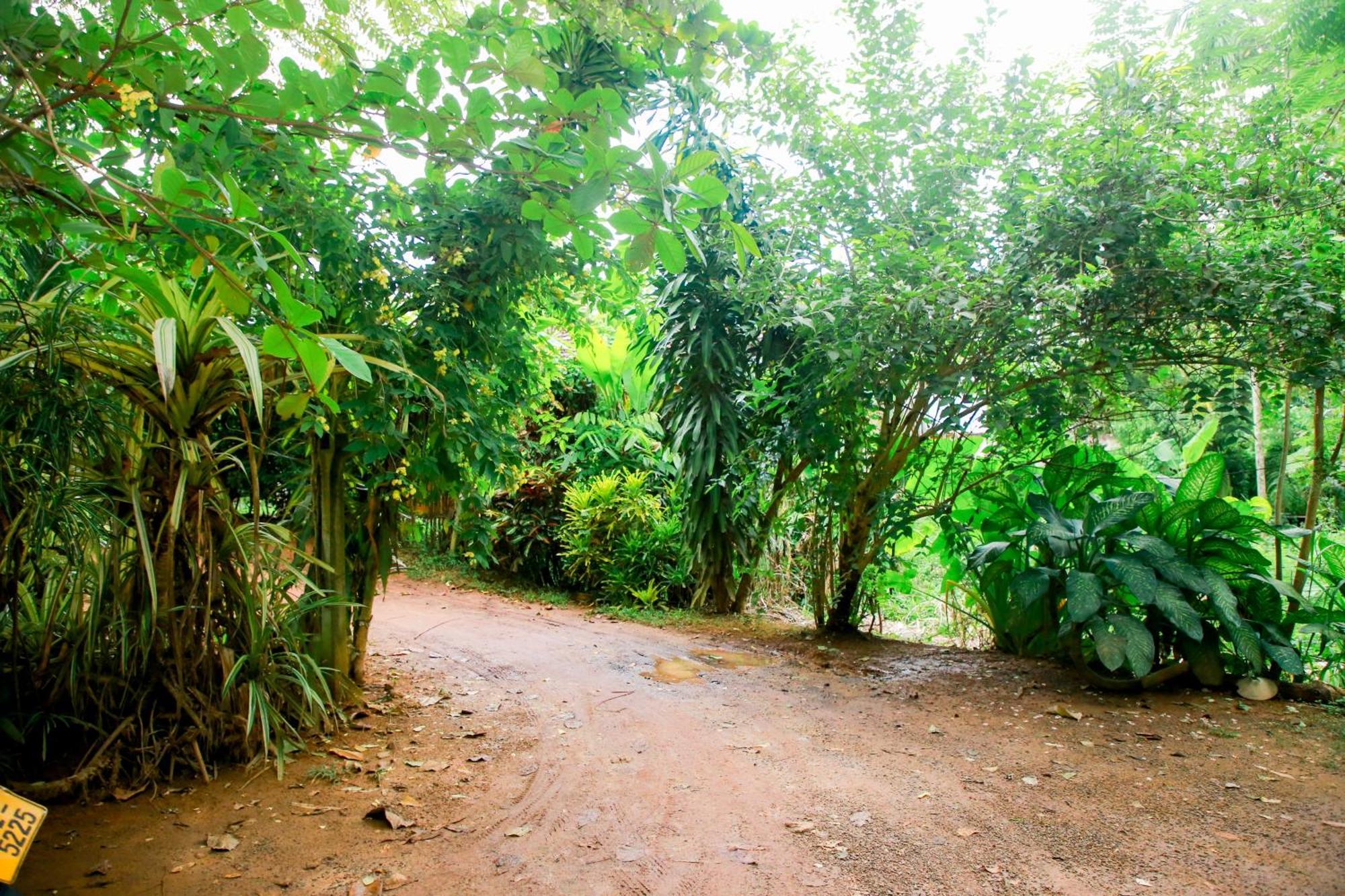 Leo Homestay Dikwella Extérieur photo