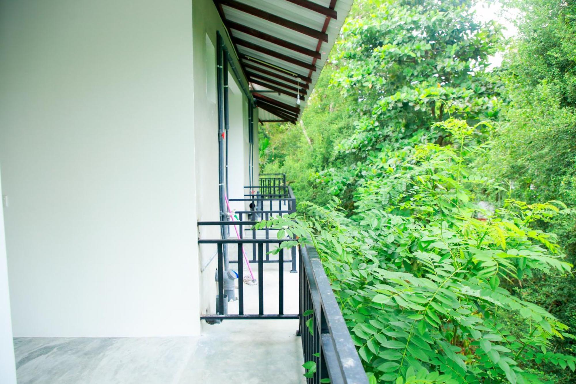 Leo Homestay Dikwella Extérieur photo