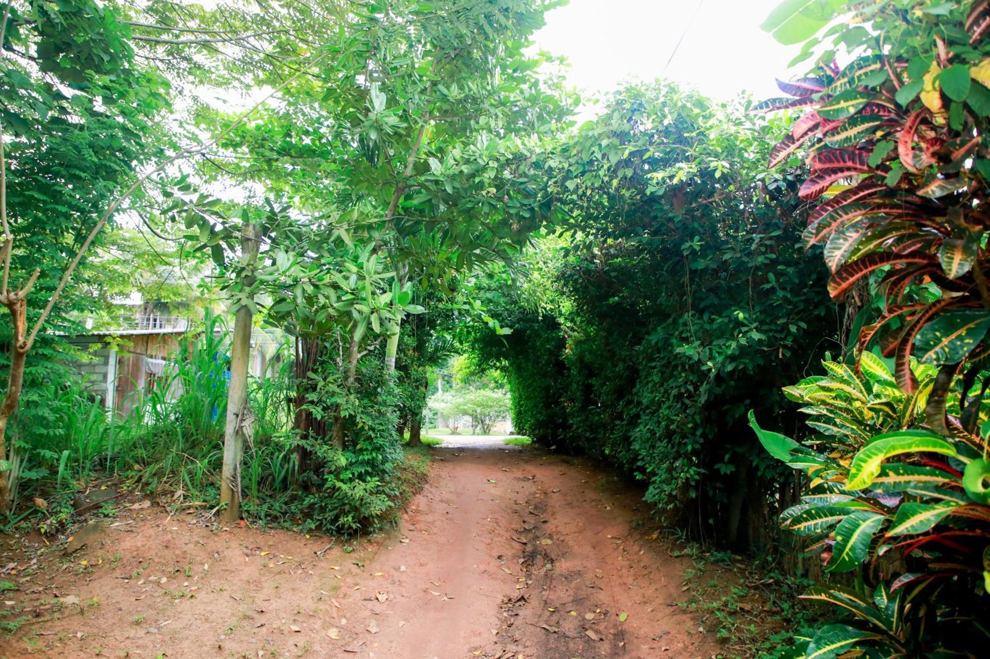 Leo Homestay Dikwella Extérieur photo